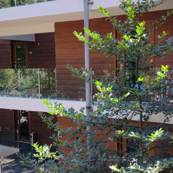 Hotel Playa Grande Suites Pucon Luaran gambar